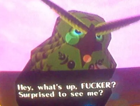 Surprised to See Me Owl