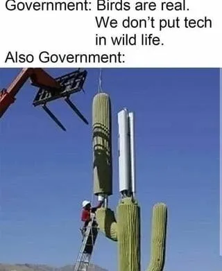 Government Hides Robot Birds