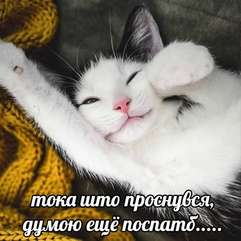Только проснулся и снова спать