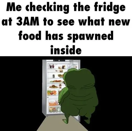 Checking the Fridge at 3 AM