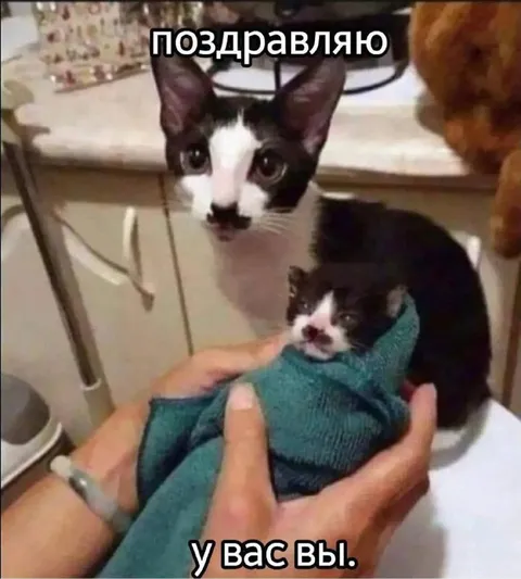 Поздравляю у вас вы