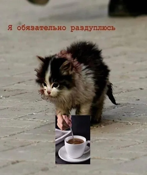 Я обязательно раздуплюсь