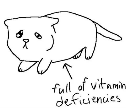 Cat Full of Vitamin Deficiencies