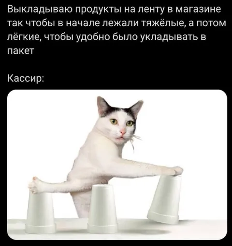 Кассир раскладывает продукты