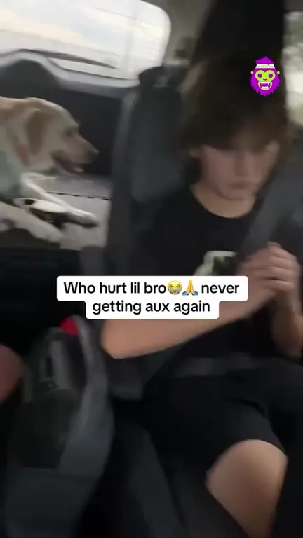 Never Getting Aux Again