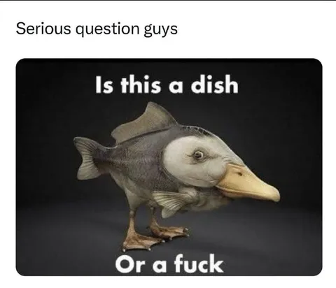 Is This a Dish or a Fuck