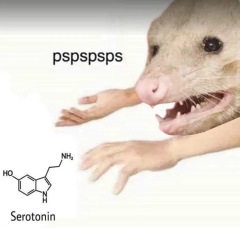 Cat Summoning Serotonin