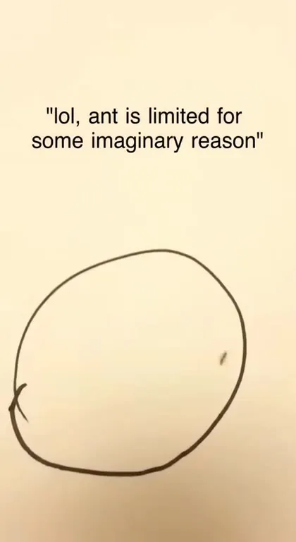 Ant limited by imaginary reasons