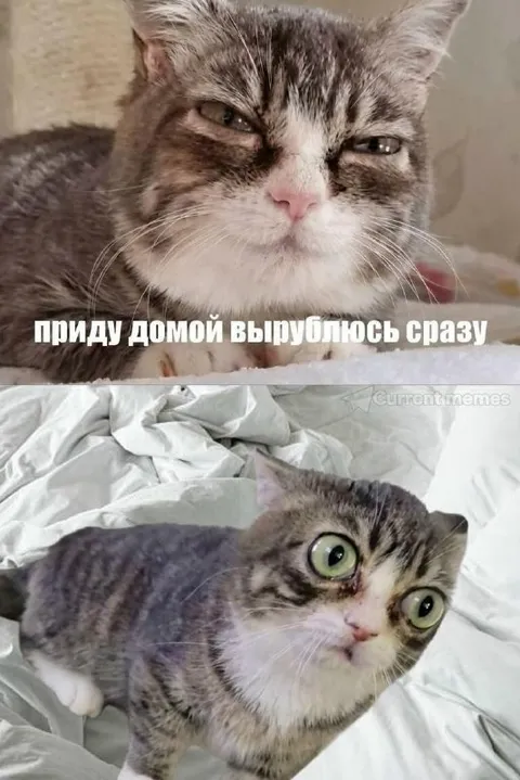 Приду домой и вырублюсь сразу