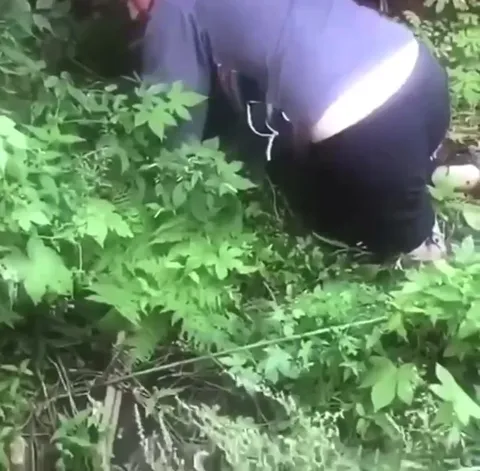 Змея укусит сейчас