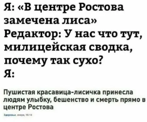 Лиса в центре Ростова