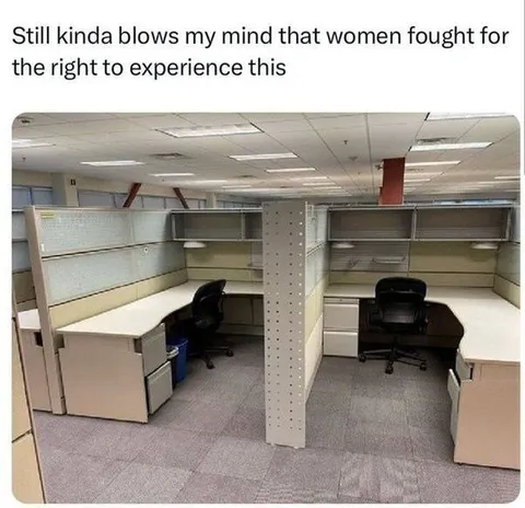 Women Fought for Cubicles