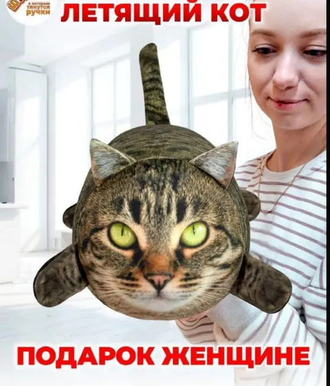 Летающий кот — подарок женщине