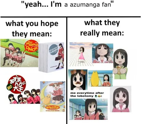 Azumanga Daioh Fan Meaning