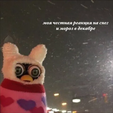 Честная реакция на снег