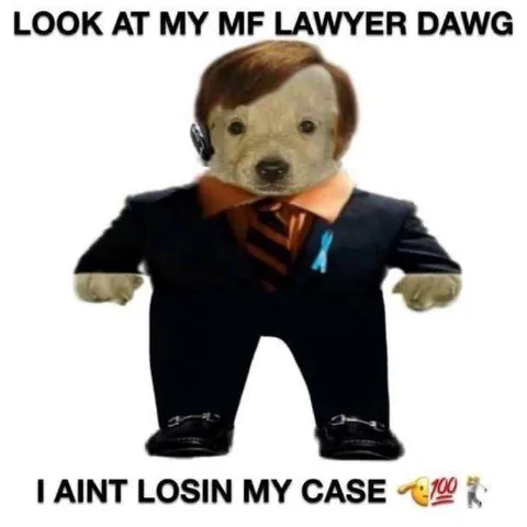 My Lawyer Dawg Won’t Lose