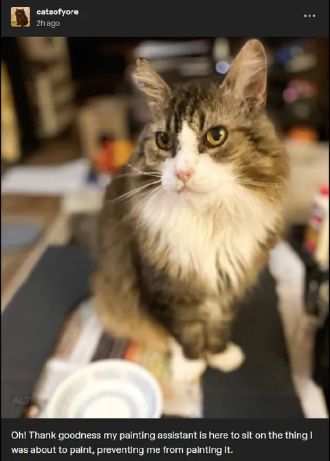 Cat Blocks the Painting