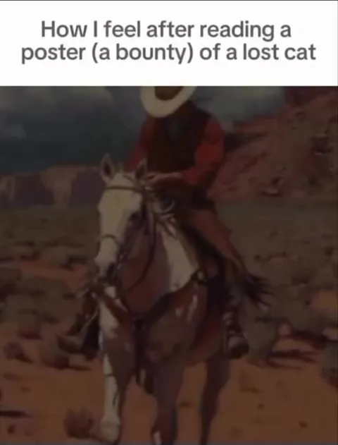 Lost Cat Poster Cowboy