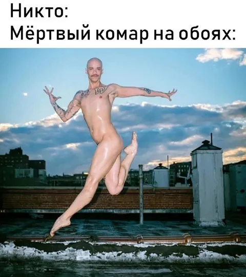 Мёртвый комар на обоях