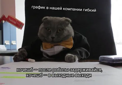 Гибкий график в компании