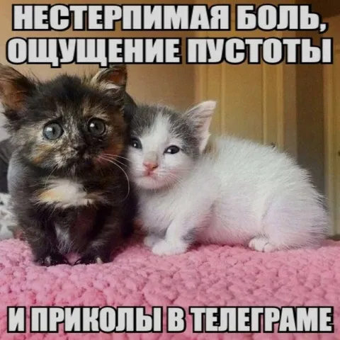 Нестерпимая боль и пустота