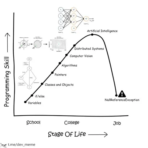 Programming Skill Curve