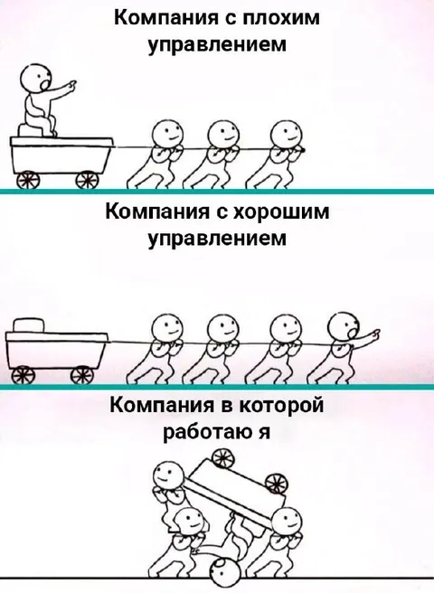 Компания, в которой работаю я