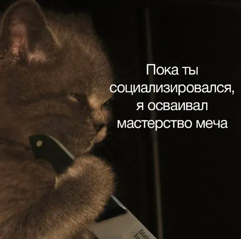 Кот осваивает мастерство меча