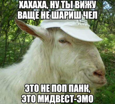 Коза не шарит в музыке