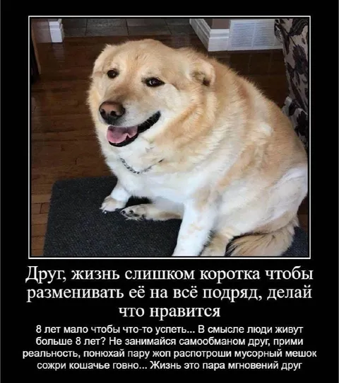 Жизнь слишком коротка