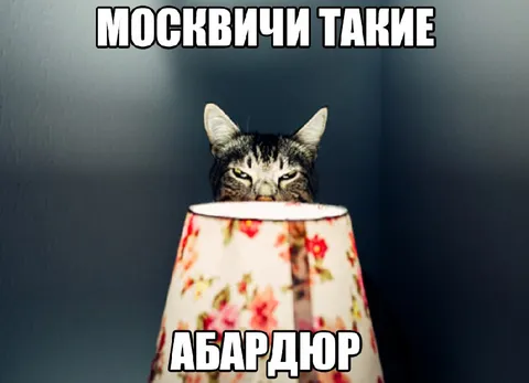 Москвичи такие абардюр