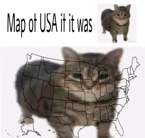 Map of USA If It Was a Cat