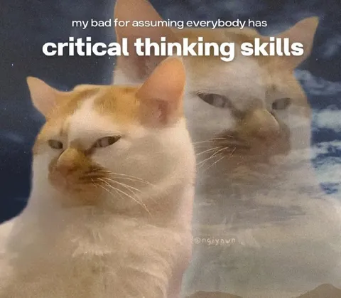 Critical Thinking Cats