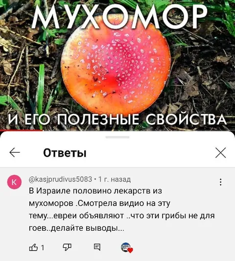 Мухомор и его полезные свойства