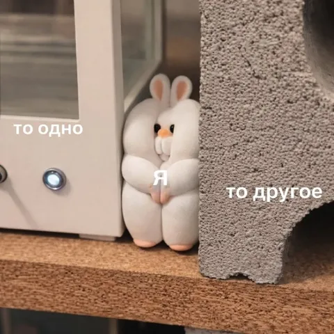 Я между двух вариантов