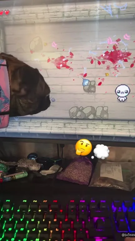 Собака мешает играть в Isaac