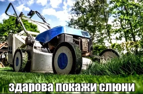 Газонокосилка показывает слюни