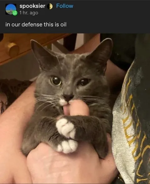 In Our Defense This Is Oil
