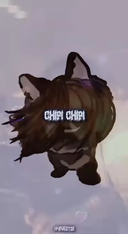 Кот поёт Chipi Chipi