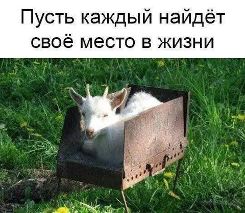 Каждый найдёт своё место