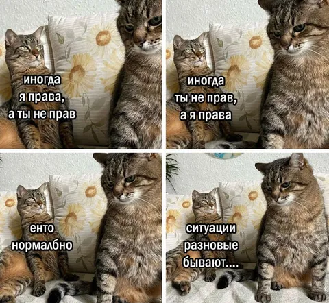 Иногда я права, а ты не прав