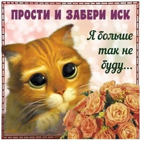 Кот просит прощения с цветами
