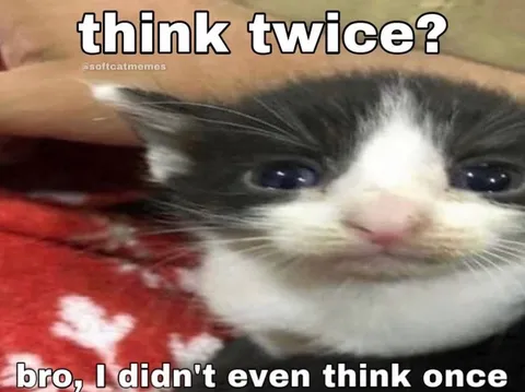Think Twice Cat