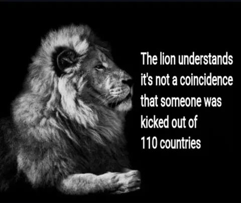 The Lion Understands