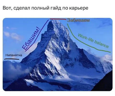 Полный гайд по карьере