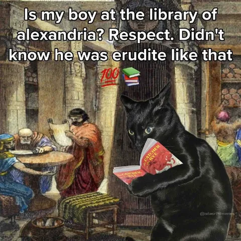 Erudite Cat at Alexandria