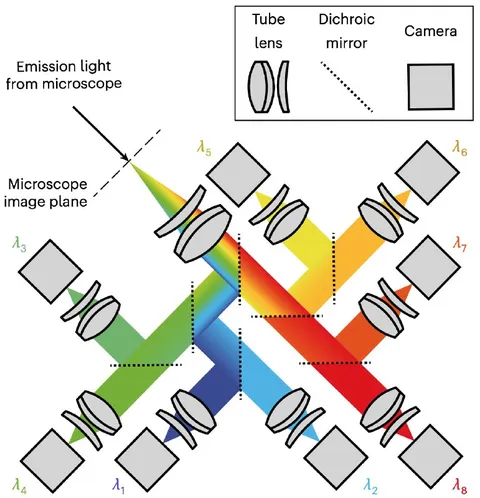 Microscope Dichroic Mirror Diagram