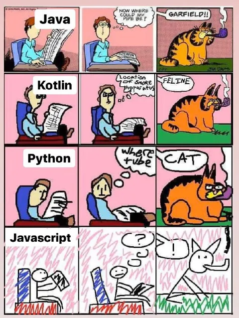 Programming Languages Find the Cat