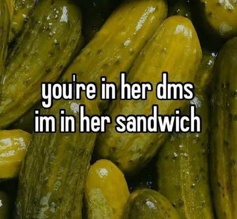 Pickle in Her Sandwich