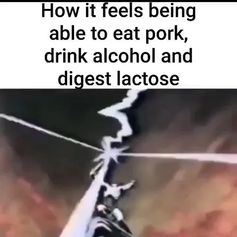 How It Feels Being Lactose Tolerant